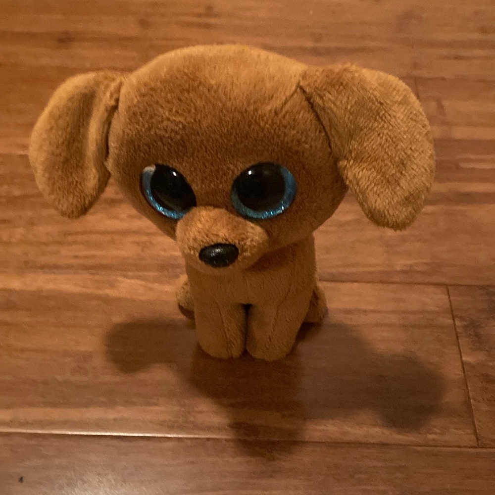Dougie the dachshund